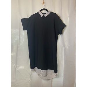 Collared Shirt Dress from the Zara Basic Collection Size Medium